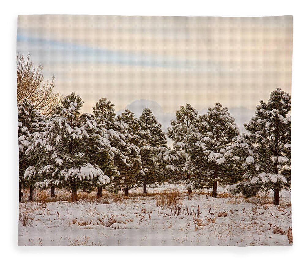 Snow Fleece Blanket featuring the photograph Snowy Winter Pine Trees by James BO Insogna