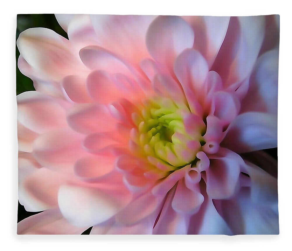 Flower Fleece Blanket featuring the photograph Soft Petals by David T Wilkinson