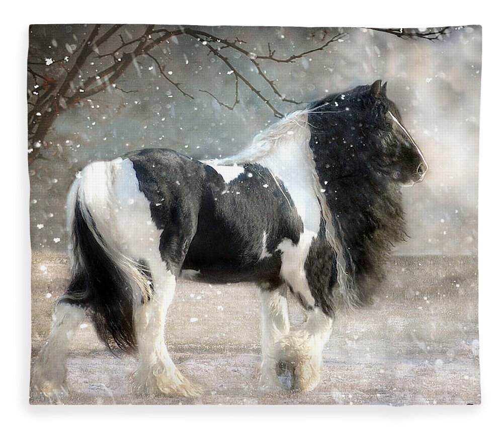 Horse Photographs Fleece Blanket featuring the photograph Solitary by Fran J Scott