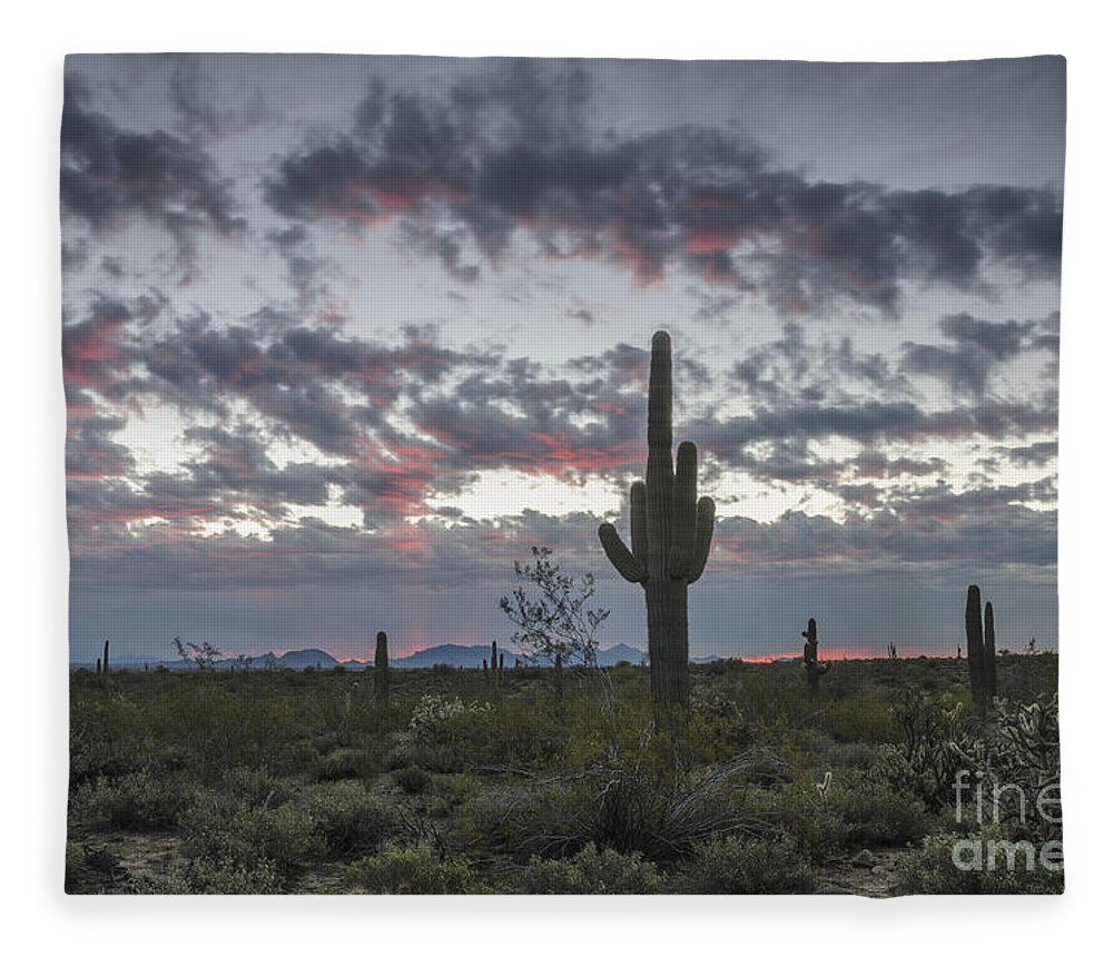 Saguaro Cactus Fleece Blanket featuring the photograph Sonoran Desert Sunrise by Tamara Becker