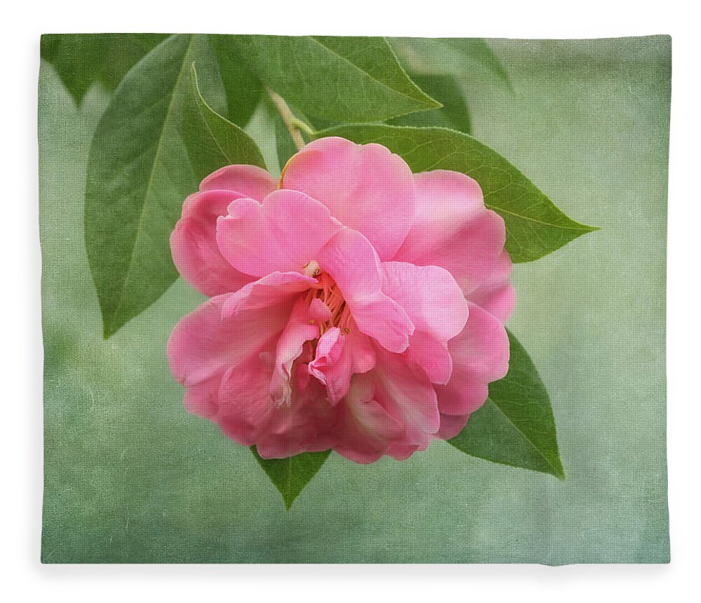 Flower Fleece Blanket featuring the photograph Southern Camellia Flower by Kim Hojnacki