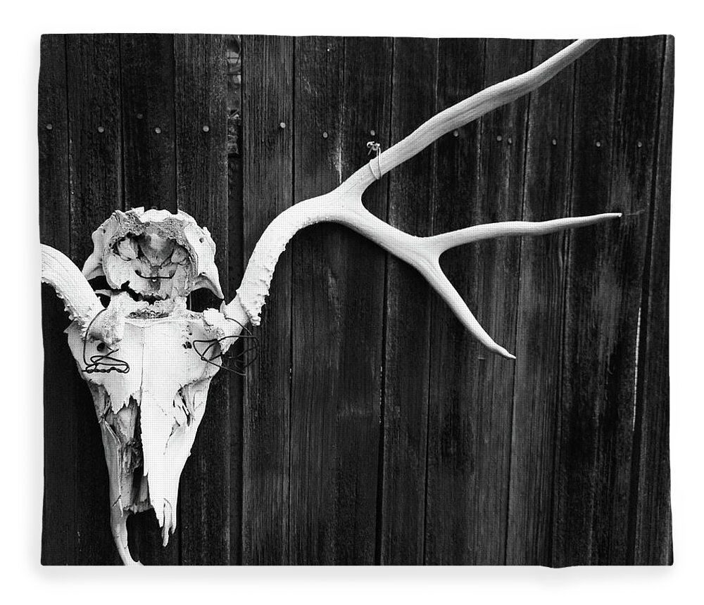 Animal Skull Fleece Blanket featuring the photograph Southwest Americana by Amygdala imagery