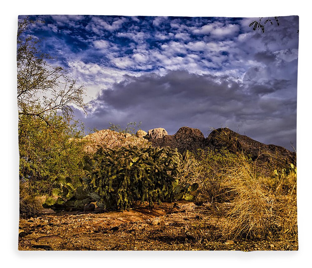Az Fleece Blanket featuring the photograph Southwest Salad No.2 by Mark Myhaver