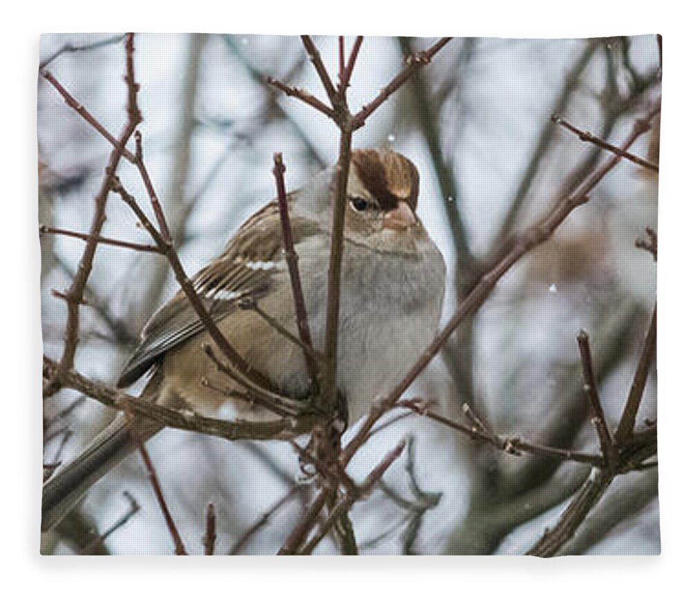 Sparrow Fleece Blanket featuring the photograph Sparrows in the Winter by Holden The Moment