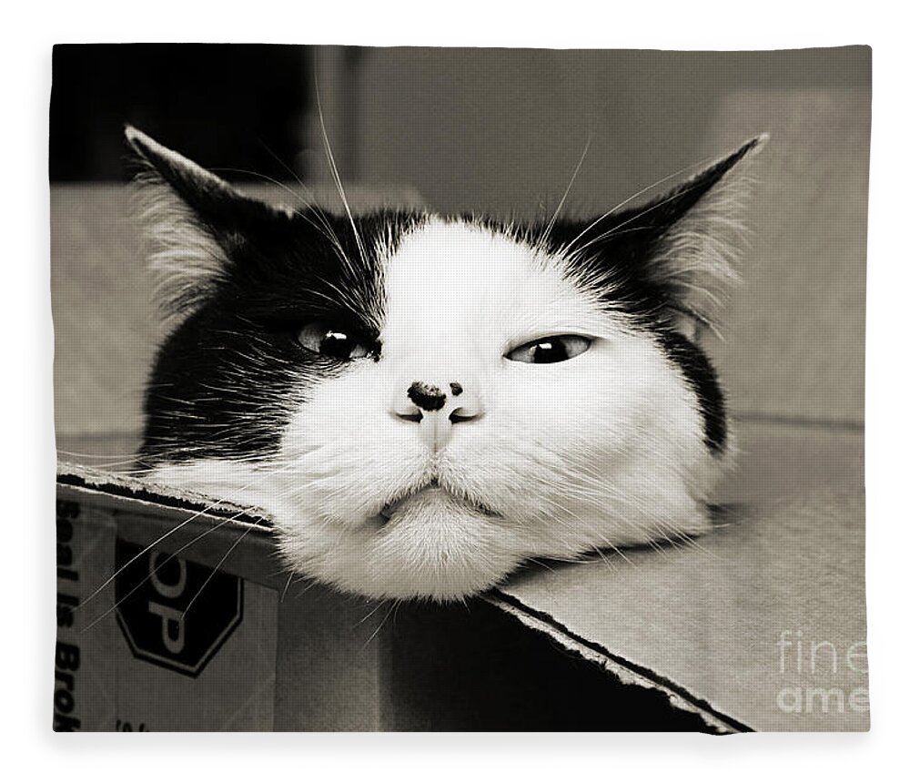 Andee Design Cat Fleece Blanket featuring the photograph Special Delivery It's Pepper The Cat by Andee Design
