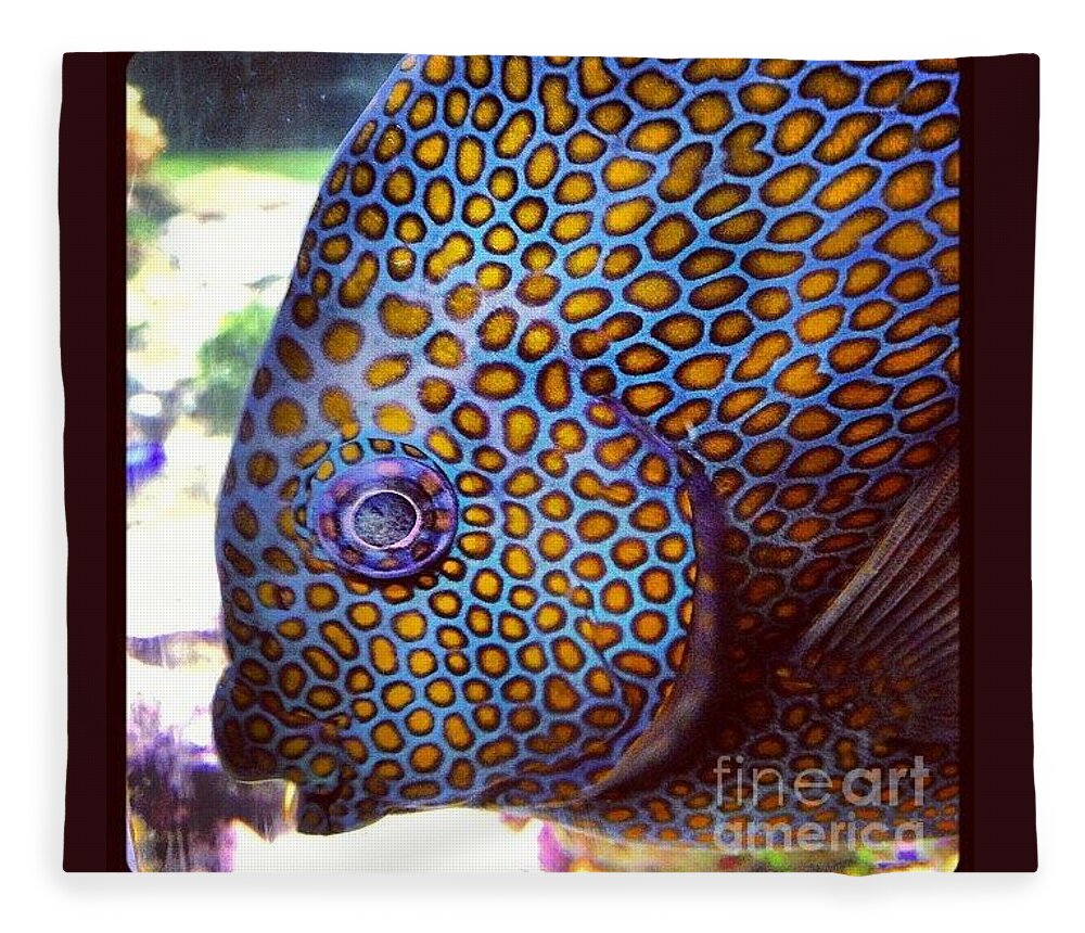 Fish Fleece Blanket featuring the photograph Spots by Denise Railey