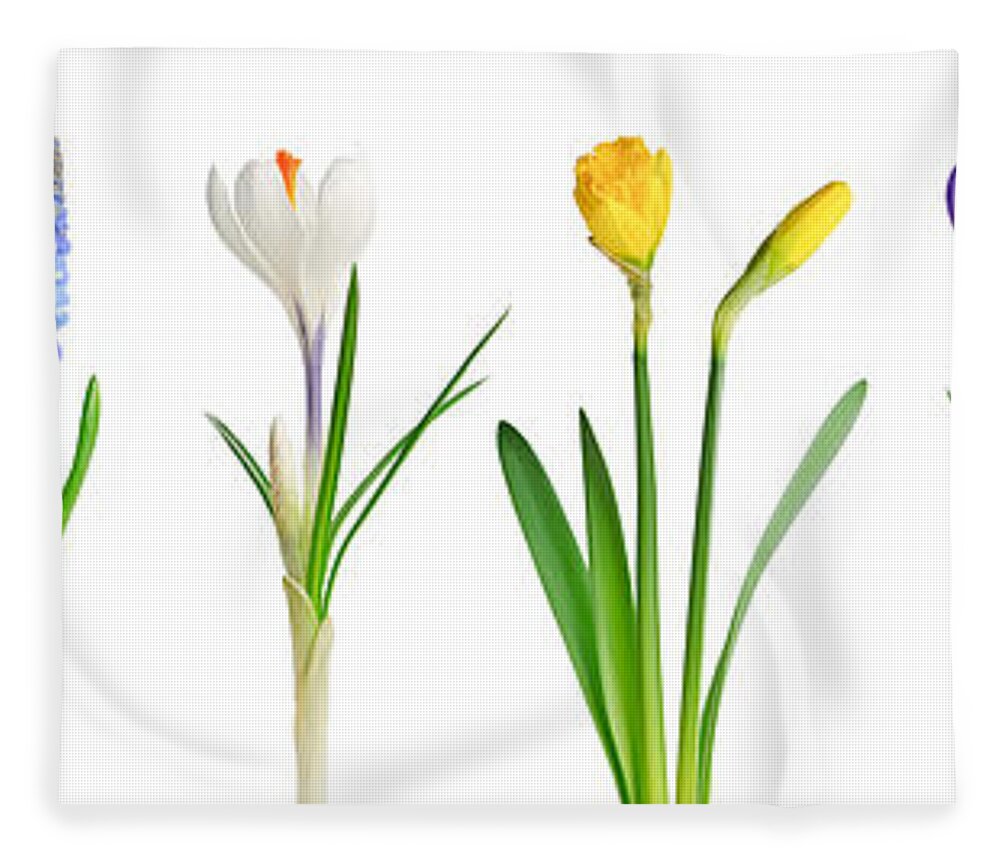 Flowers Fleece Blanket featuring the photograph Spring flowers 1 by Elena Elisseeva