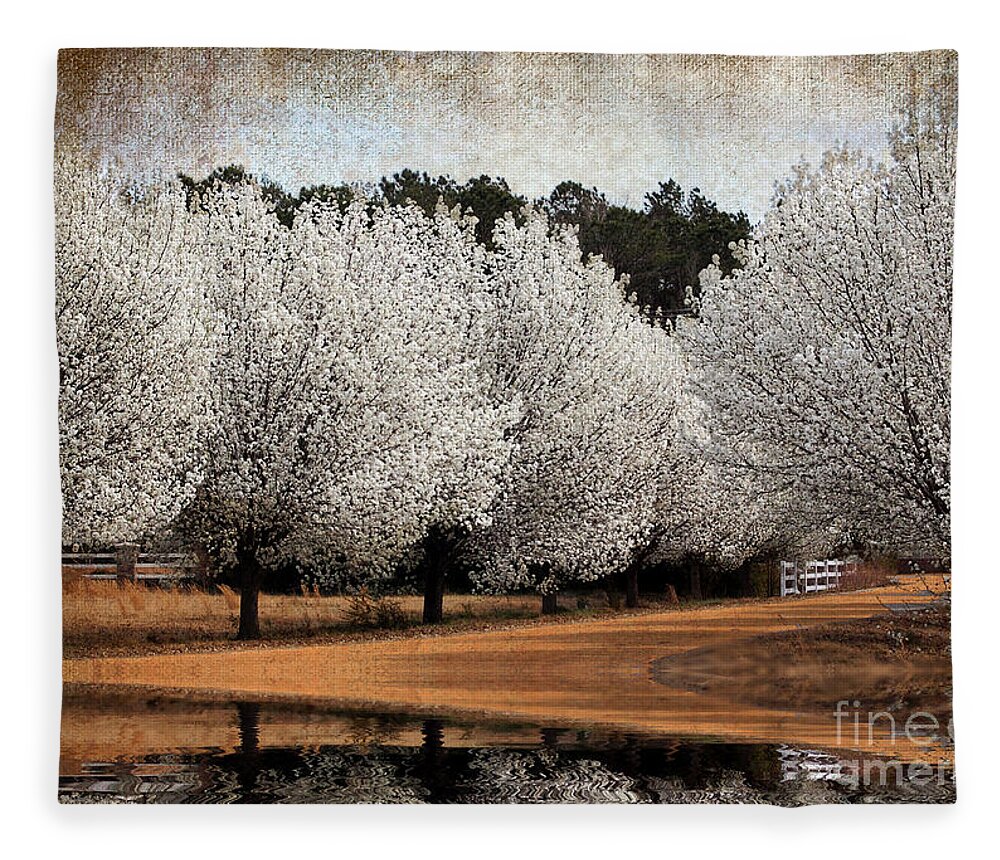 Flowers Fleece Blanket featuring the photograph Spring Pear Blossoms by Kathy Baccari