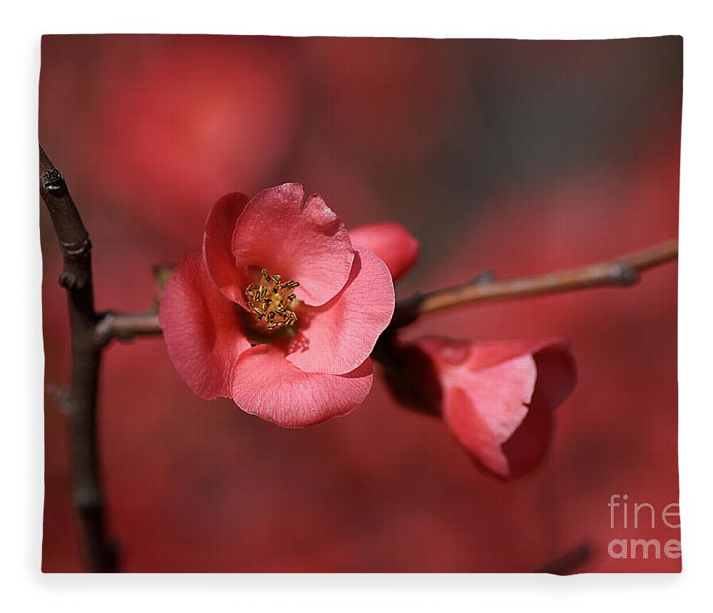 Red Fleece Blanket featuring the photograph Spring Richness - Flowering Quince by Joy Watson
