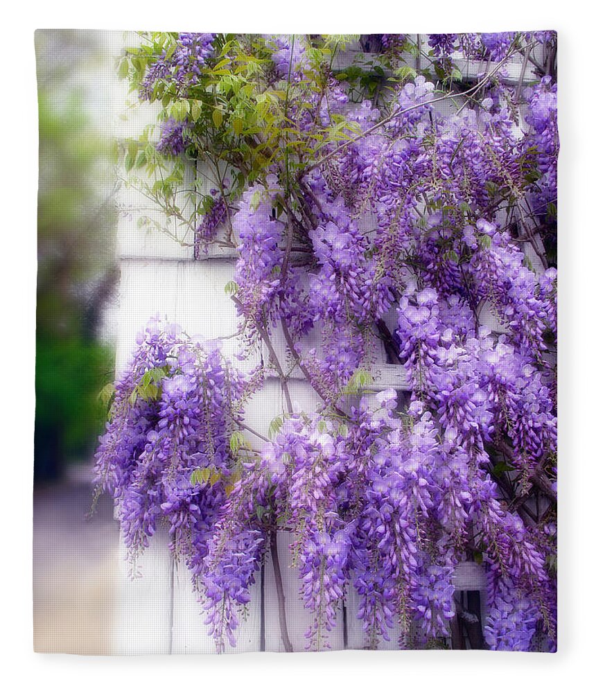Flowers Fleece Blanket featuring the photograph Spring Wisteria by Jessica Jenney