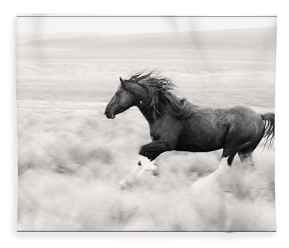 Stallion Blur Fleece Blanket featuring the photograph Stallion Blur by Wes and Dotty Weber