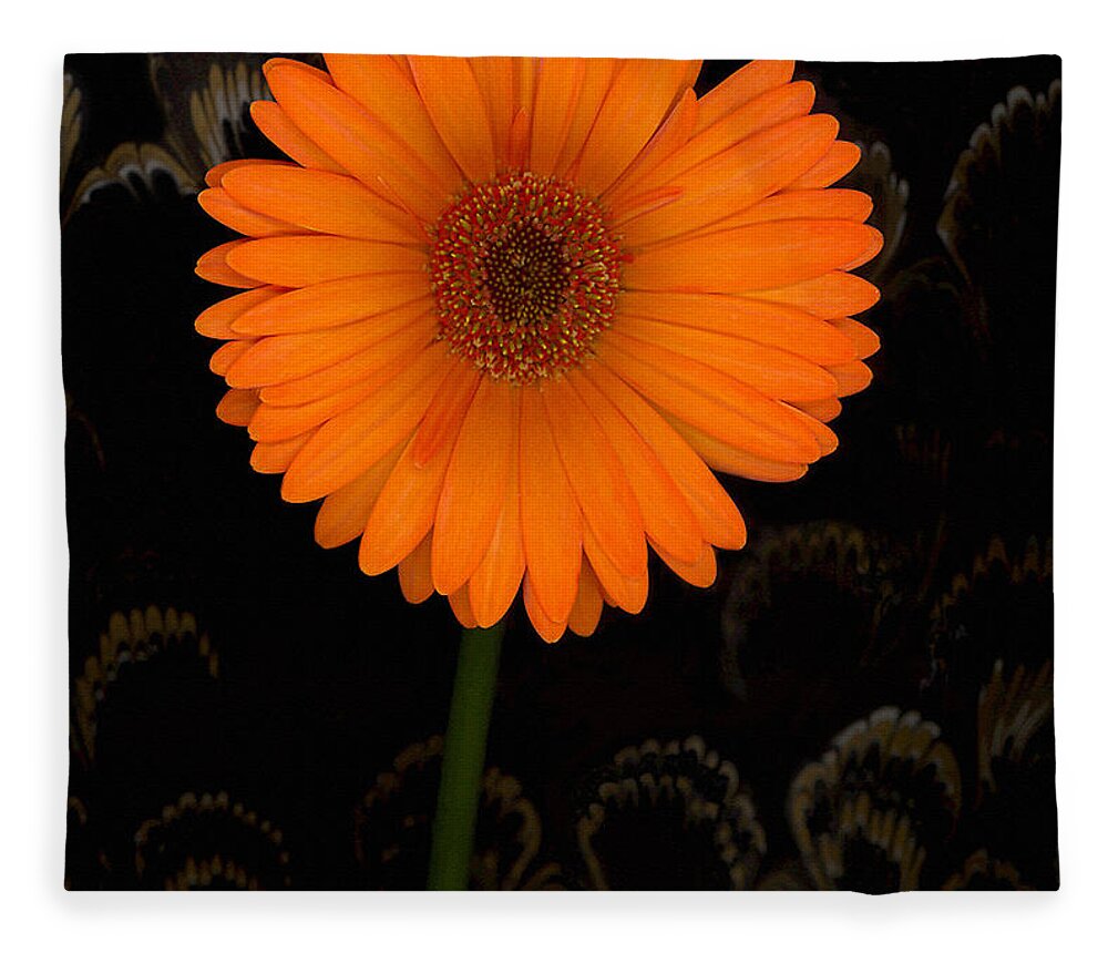Gerbera Daisy Fleece Blanket featuring the photograph Standing Tall by Suzanne Gaff