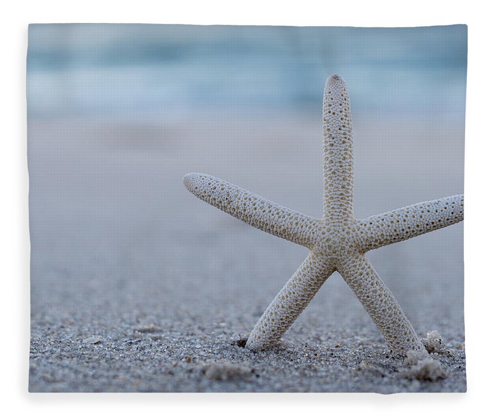 Starfish On Beach Seaside New Jersey Fleece Blanket featuring the photograph Starfish on Beach Seaside New Jersey by Terry DeLuco