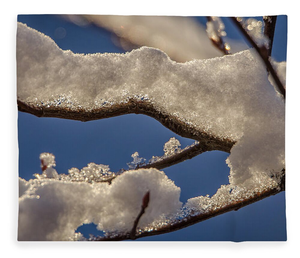 Branch Fleece Blanket featuring the photograph Staying Warm by Steven Santamour