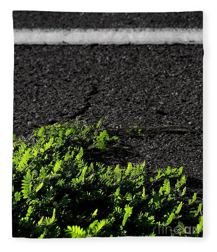 Digital Color Photo Fleece Blanket featuring the digital art Street Growth by Tim Richards