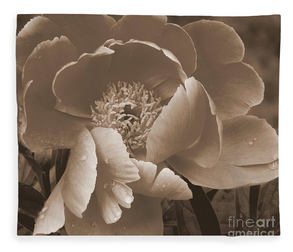 Subdued Fleece Blanket featuring the photograph Subdued by Eunice Miller