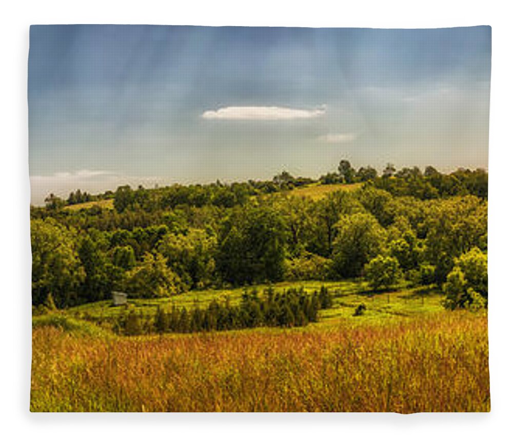 Landscape Fleece Blanket featuring the photograph Summer countryside by Elena Elisseeva