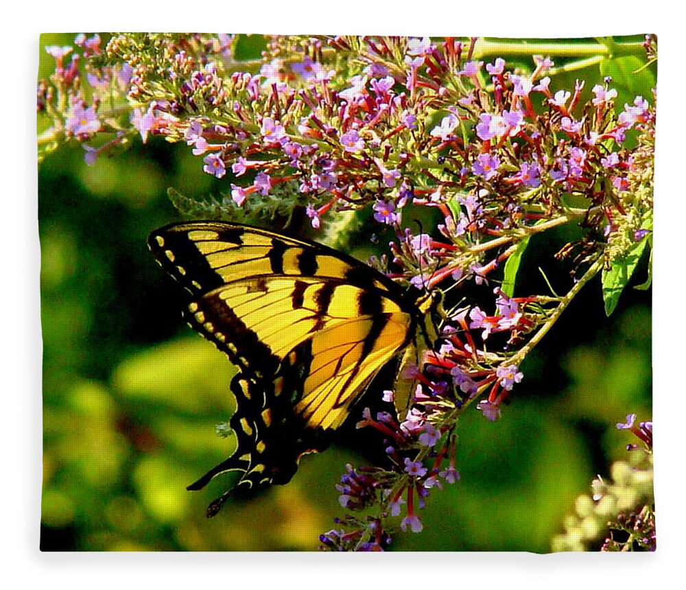 Fine Art Fleece Blanket featuring the photograph Summers End by Rodney Lee Williams