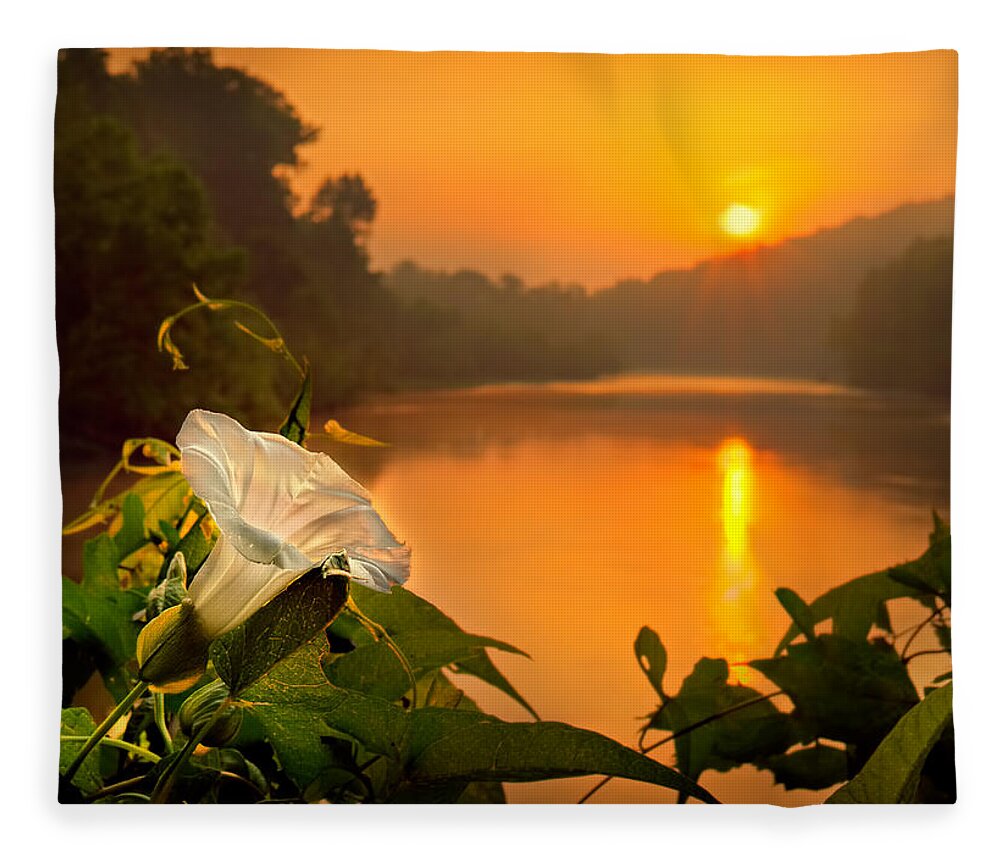 2011 Fleece Blanket featuring the photograph Sun And Flower by Robert Charity