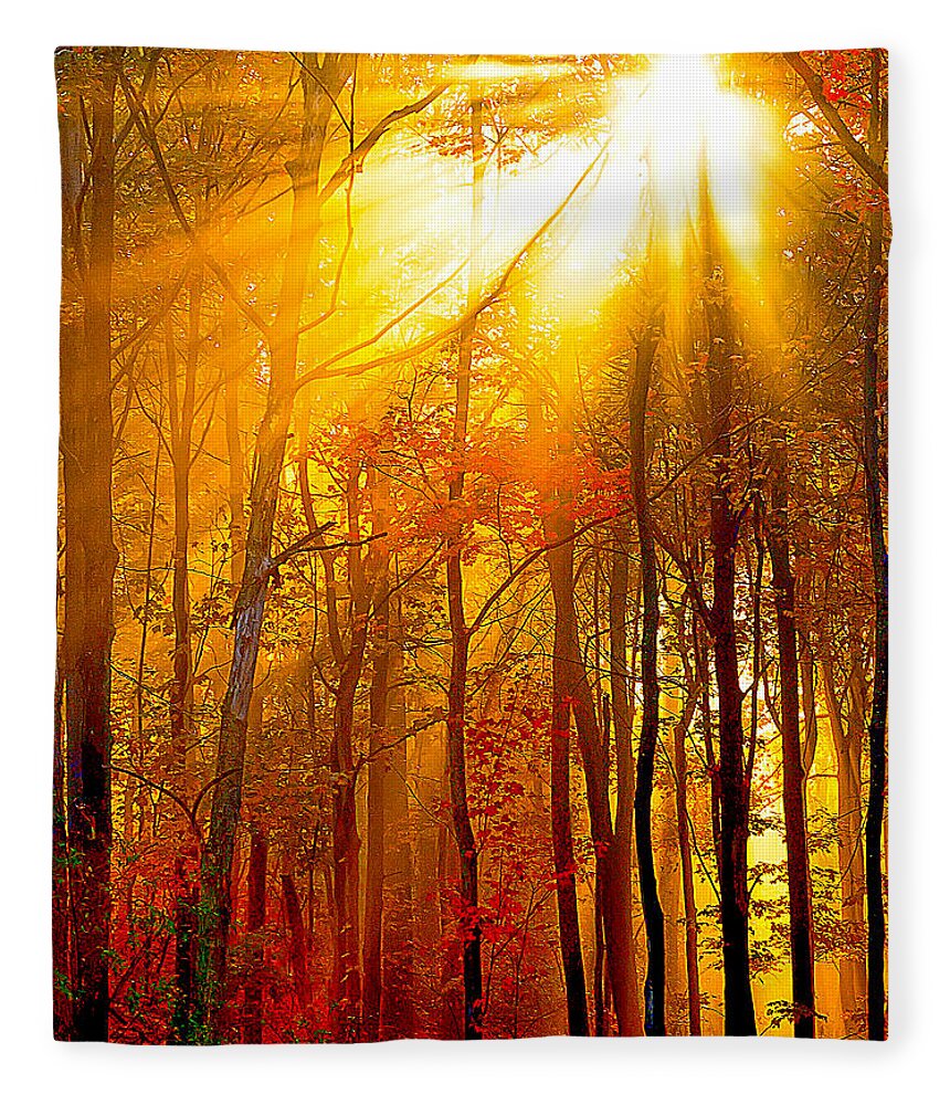 Sunburst Fleece Blanket featuring the photograph Sunburst In The Forest by Randall Branham