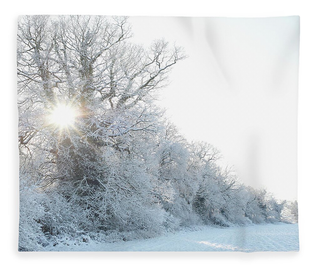 Tranquility Fleece Blanket featuring the photograph Sunburst Through Trees In Winter by Dougal Waters