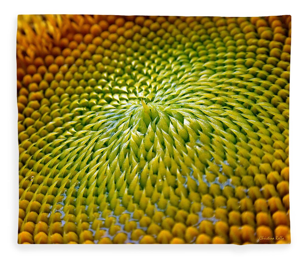 Sunflower Fleece Blanket featuring the photograph Sunflower by Christina Rollo
