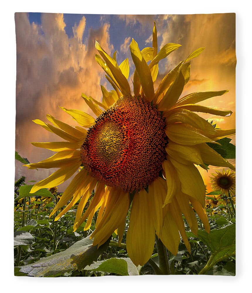Appalachia Fleece Blanket featuring the photograph Sunflower Dawn by Debra and Dave Vanderlaan