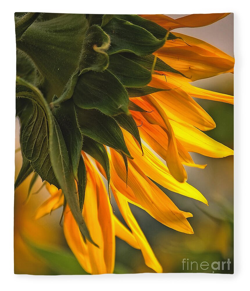Flower Fleece Blanket featuring the photograph Sunflower Farm 1 by Kathleen K Parker