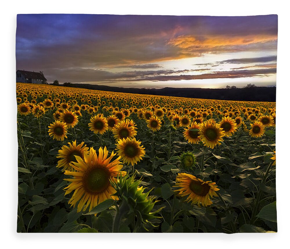 Austria Fleece Blanket featuring the photograph Sunflower Sunset by Debra and Dave Vanderlaan