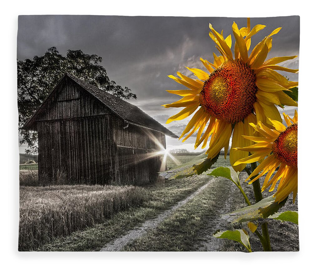 Appalachia Fleece Blanket featuring the photograph Sunflower Watch by Debra and Dave Vanderlaan