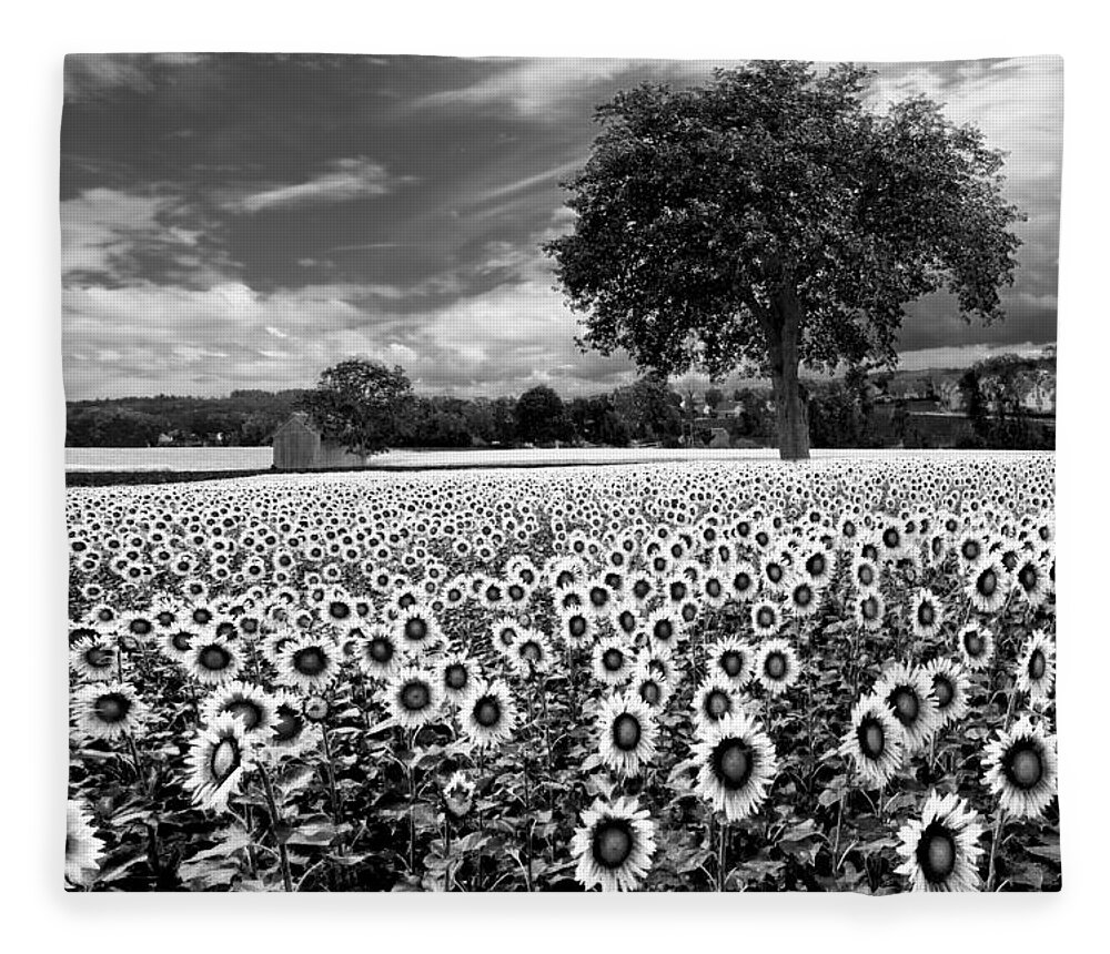 American Fleece Blanket featuring the photograph Sunflowers in Black and White by Debra and Dave Vanderlaan
