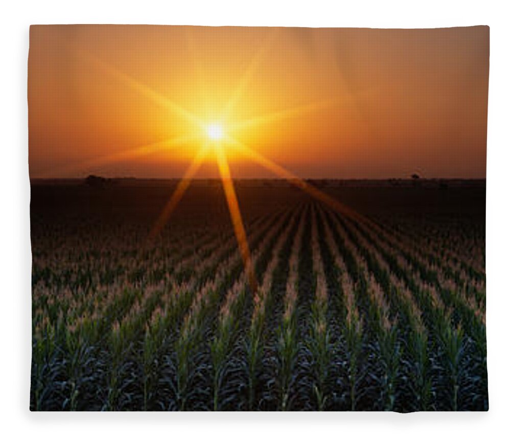 Photography Fleece Blanket featuring the photograph Sunrise, Crops, Farm, Sacramento by Panoramic Images