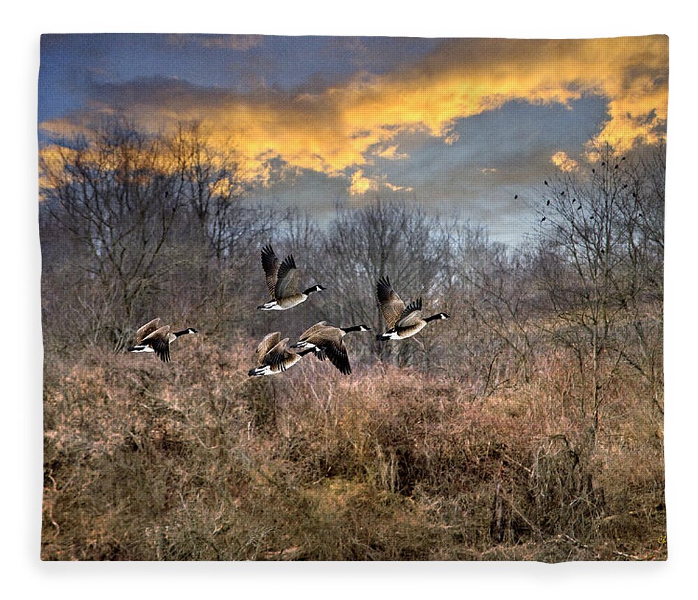 Sunset Fleece Blanket featuring the photograph Sunset Geese by Christina Rollo