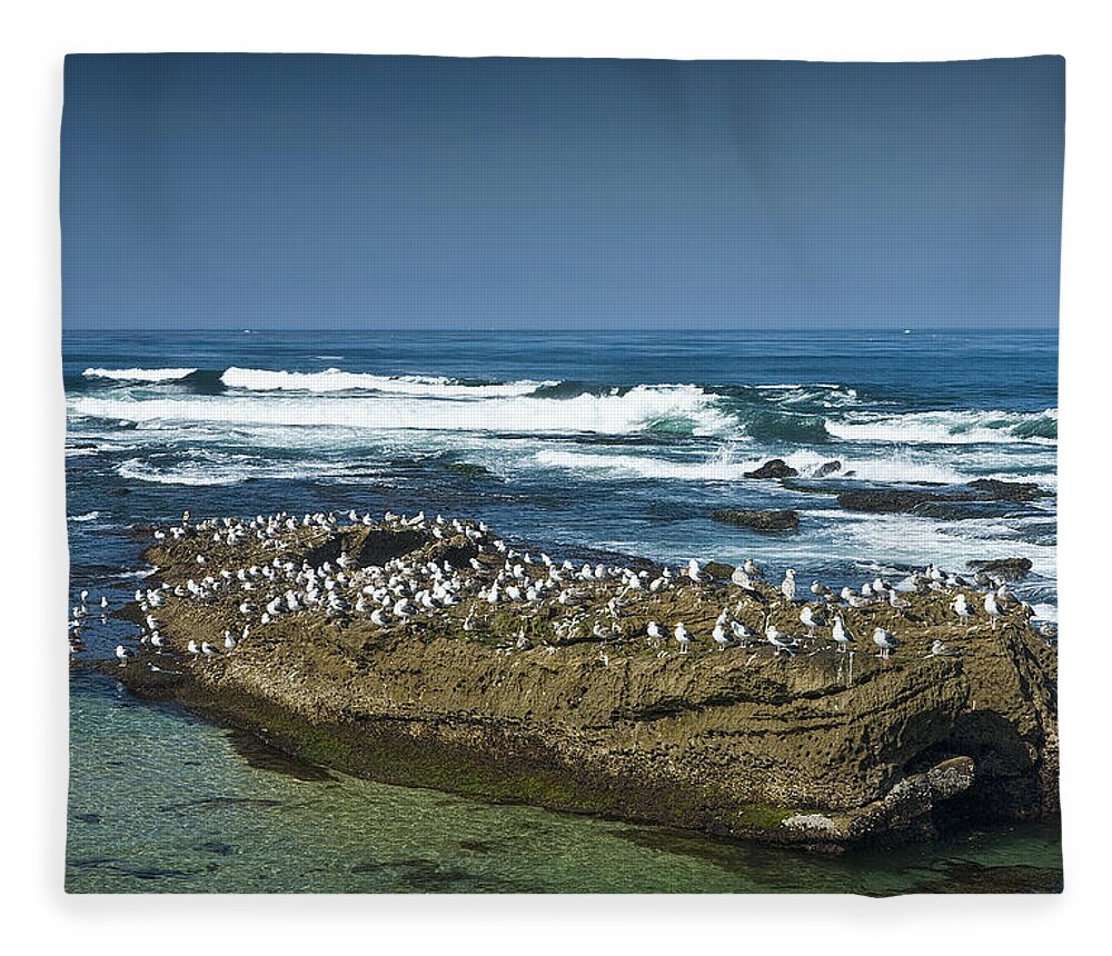 Ocean Fleece Blanket featuring the photograph Surf Waves at La Jolla California with Gulls perched on a Large Rock No. 0194 by Randall Nyhof