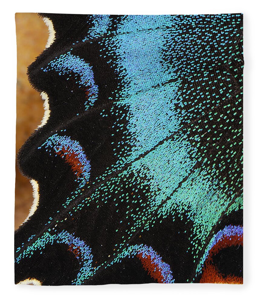 Feb0514 Fleece Blanket featuring the photograph Swallowtail Butterfly Wing Scales by Thomas Marent