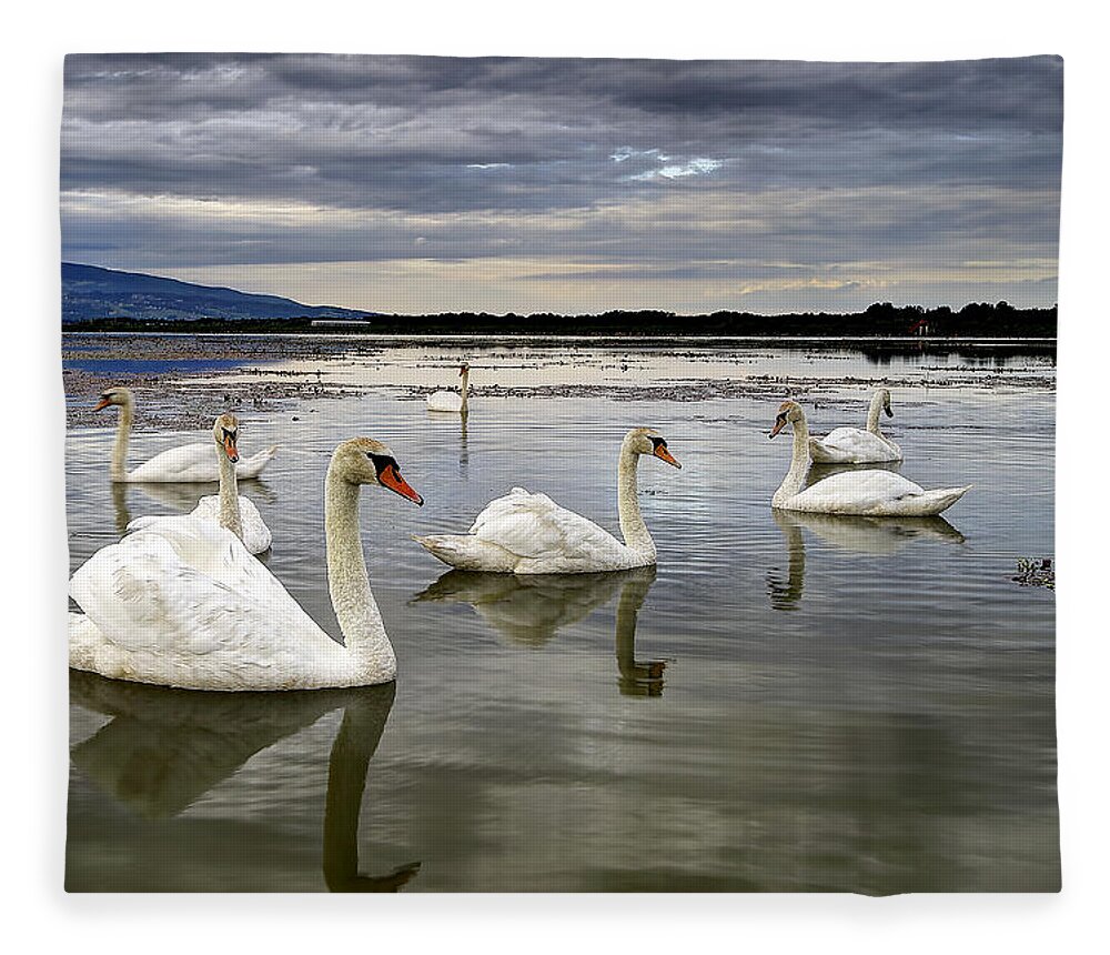 Water Fleece Blanket featuring the photograph Swans by Ivan Slosar