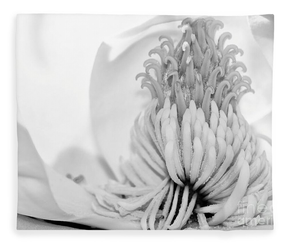 Macro Fleece Blanket featuring the photograph Sweet Magnolia by Sabrina L Ryan