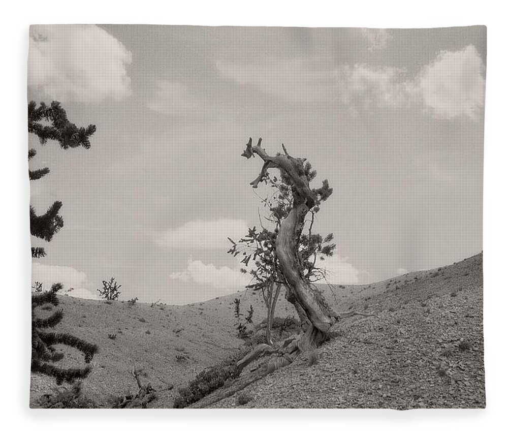 Utah Fleece Blanket featuring the photograph Talking Trees in Bryce Canyon by Carol Whaley Addassi