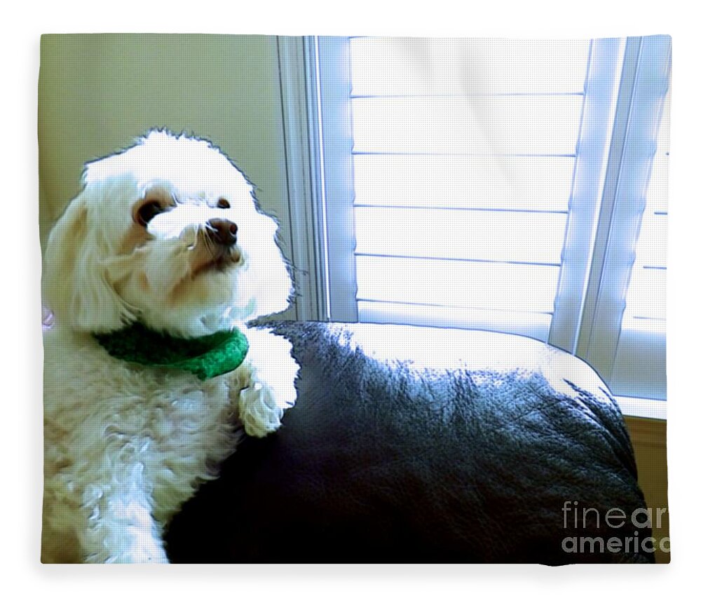 Dog Fleece Blanket featuring the photograph Teddy by Robyn King