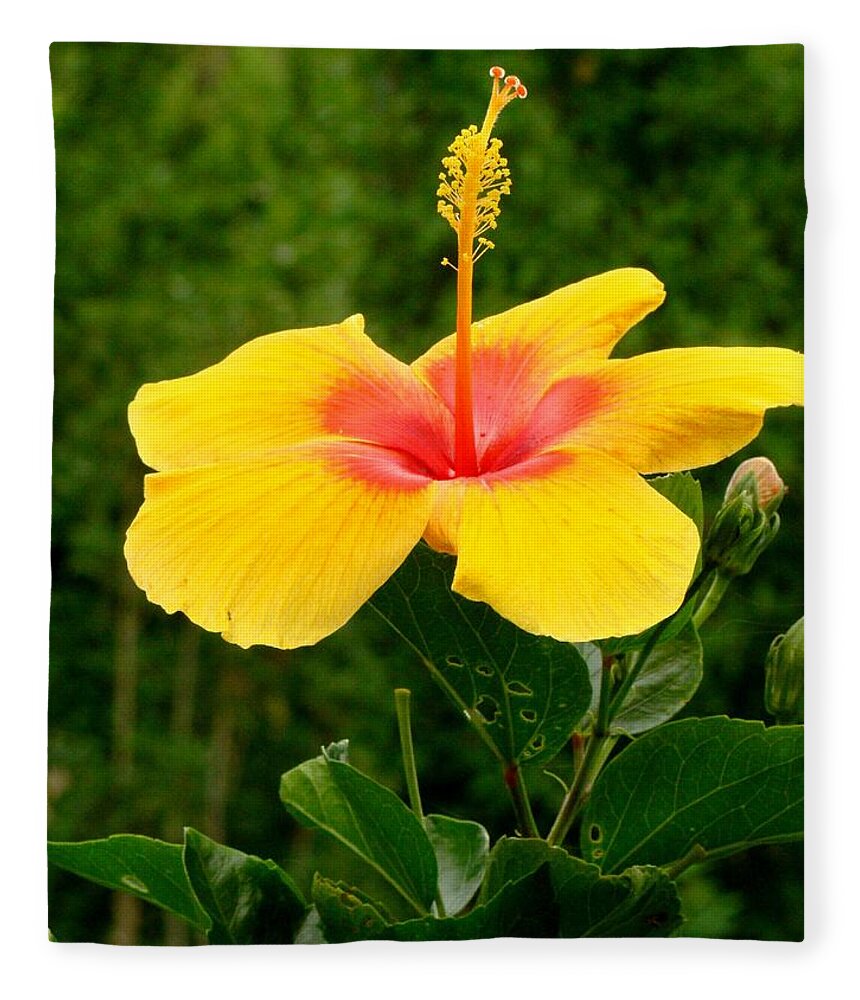 Fine Art Fleece Blanket featuring the photograph Tequila Sunrise by Rodney Lee Williams