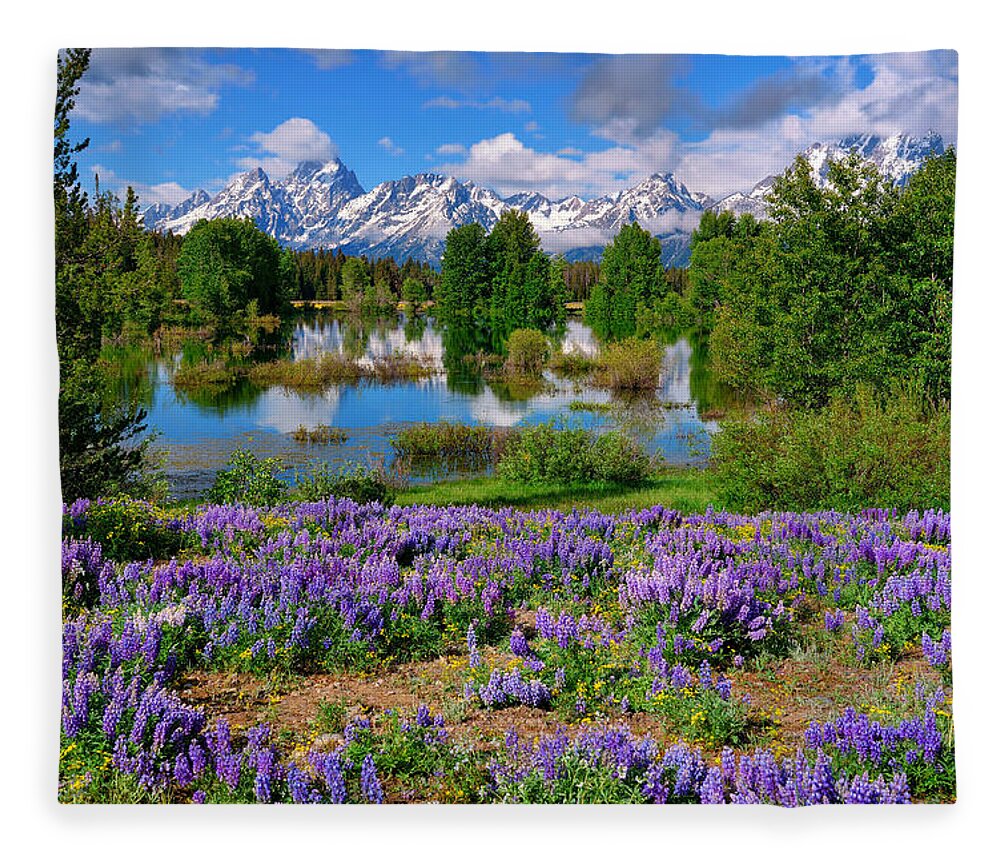 Grand Teton National Park Fleece Blanket featuring the photograph Teton Spring Lupines by Greg Norrell