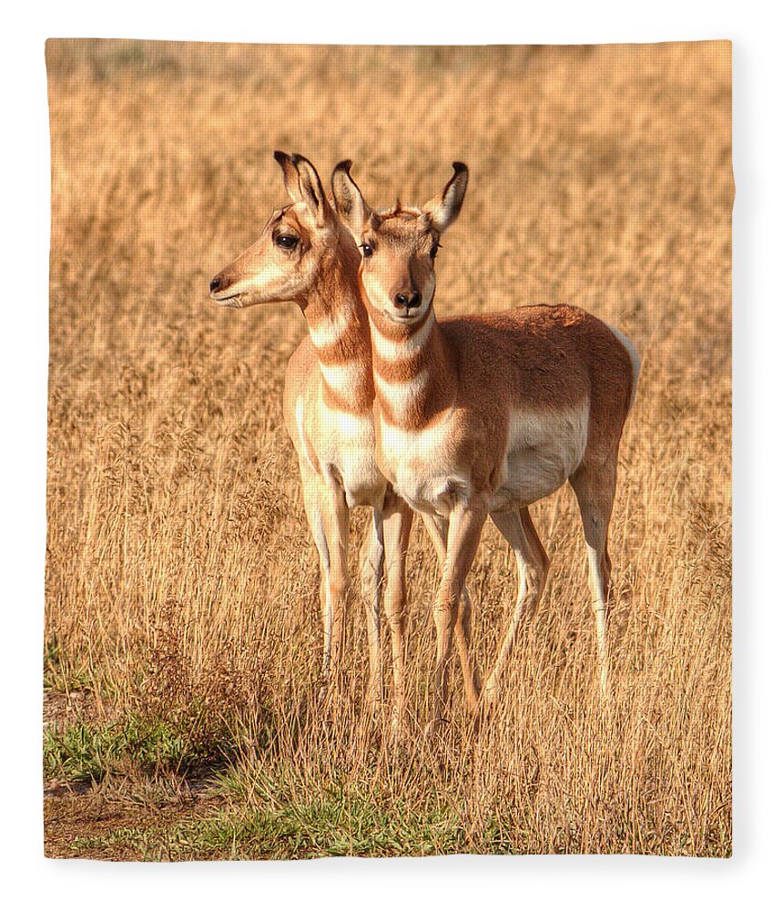 Antelope Fleece Blanket featuring the photograph Teton Twins 0067 by Kristina Rinell