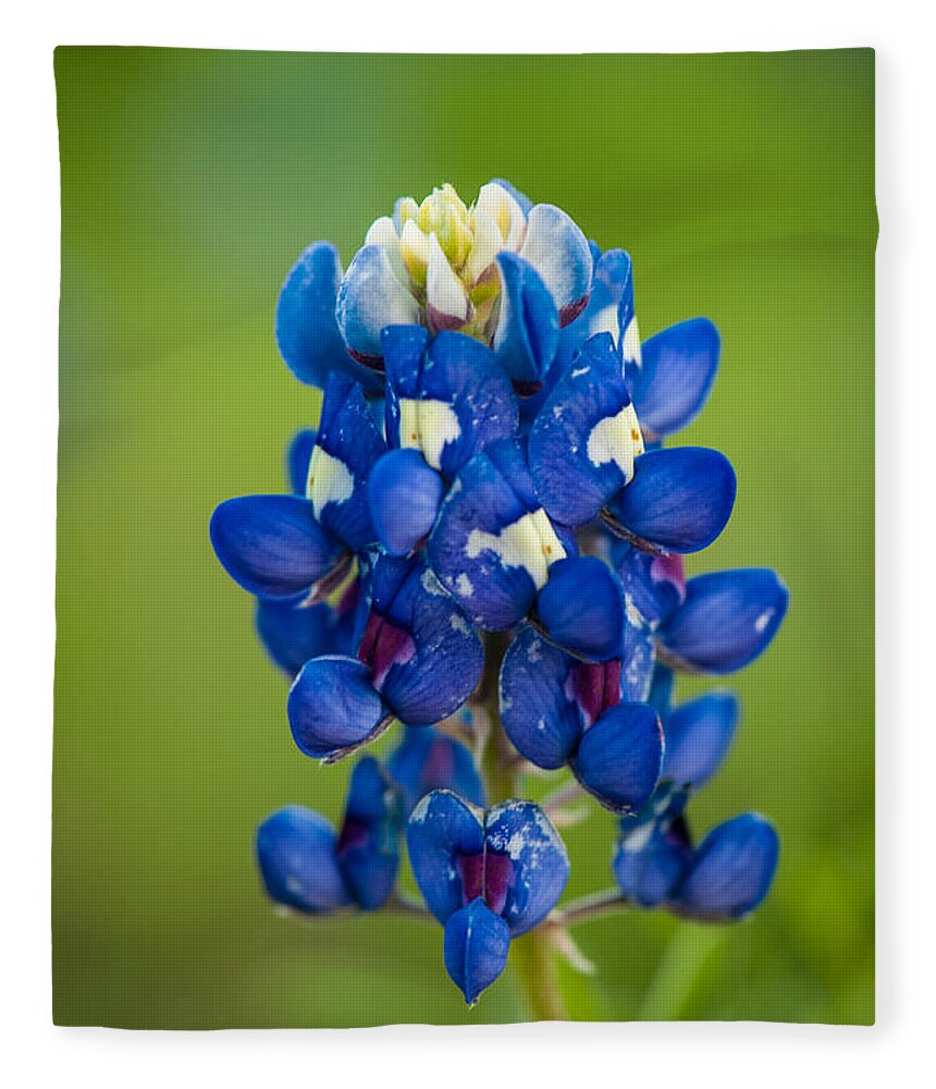 Texas Fleece Blanket featuring the photograph Texas Blue by George Buxbaum