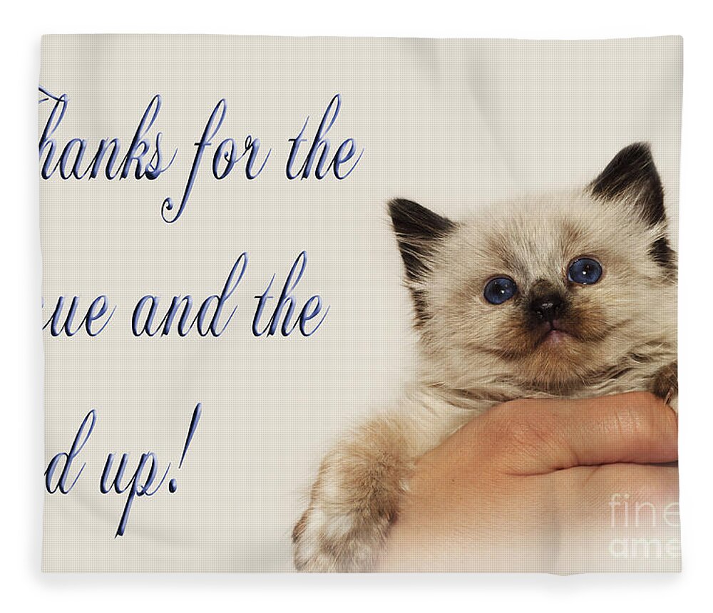 Andee Design Kitten Fleece Blanket featuring the photograph Thanks For The Rescue And The Hand Up by Andee Design
