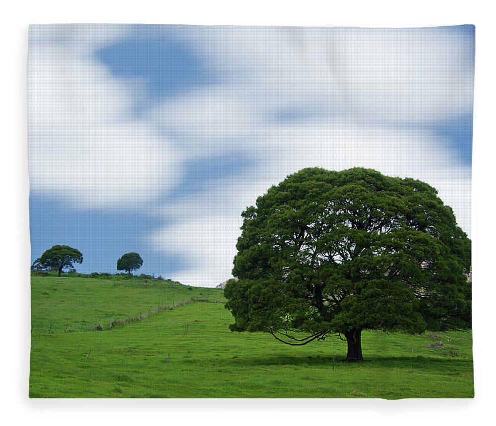 Tranquility Fleece Blanket featuring the photograph The Big Tree by Thienthongthai Worachat