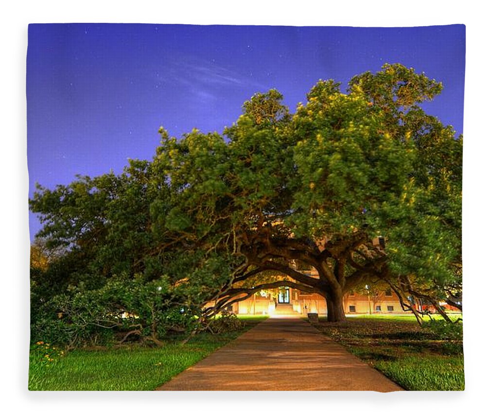 The Century Tree Fleece Blanket featuring the photograph The Century Tree by David Morefield