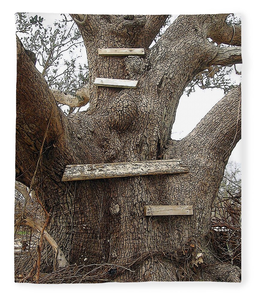 Old Oak Tree Fleece Blanket featuring the photograph The Climbing Tree - Hurricane Katrina Survivor by Rebecca Korpita