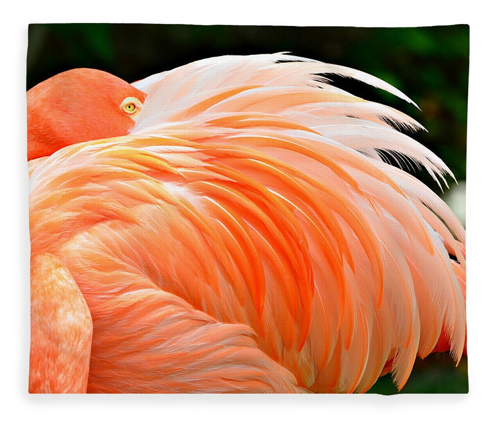 Flamingo Fleece Blanket featuring the photograph The Flamingo by Ally White