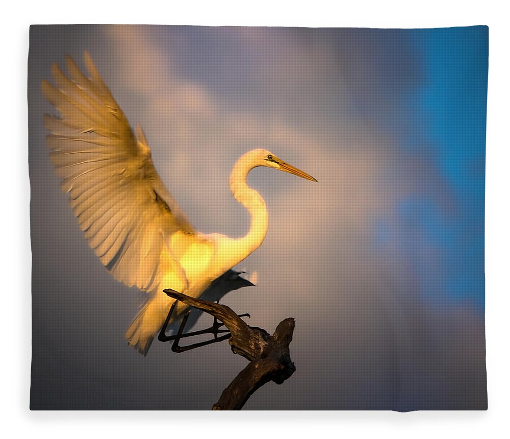 Great White Egret Fleece Blanket featuring the photograph The Golden Egret by Mark Andrew Thomas