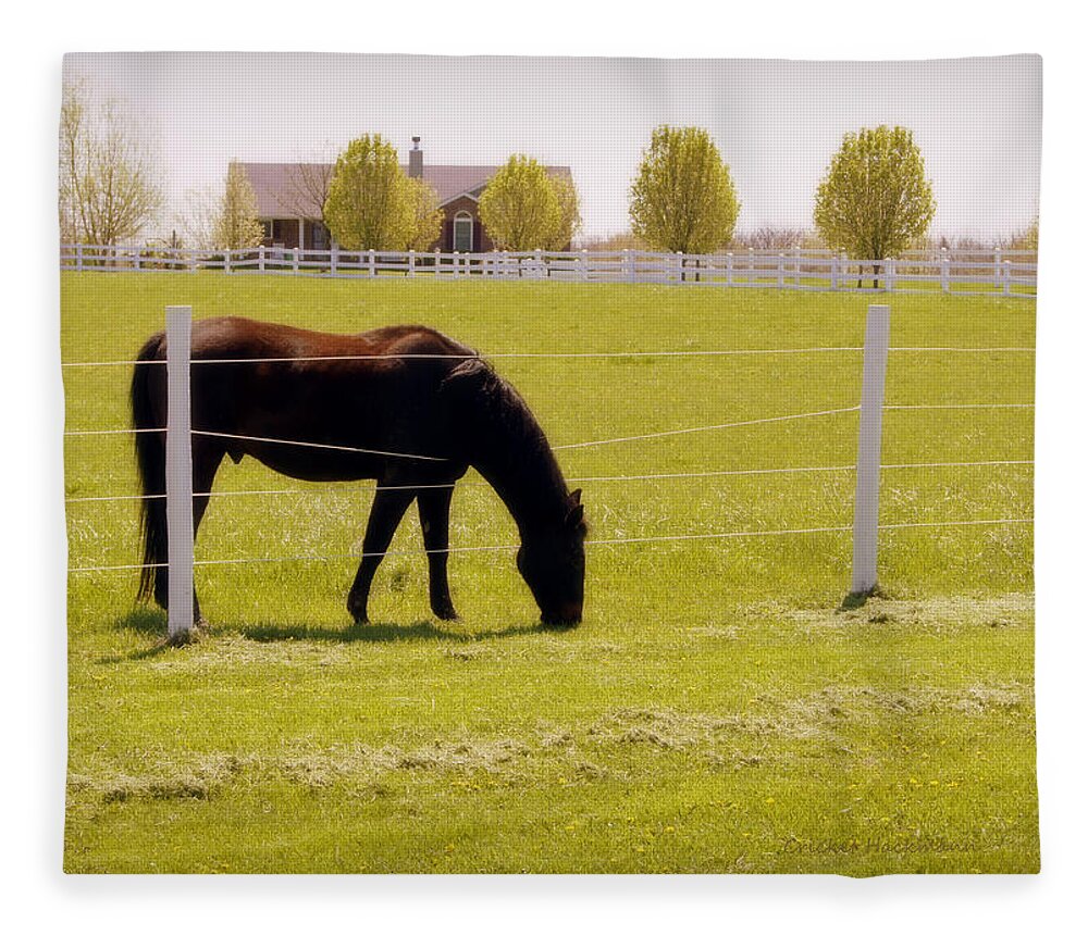 Horse Fleece Blanket featuring the photograph The Grass is Greener by Cricket Hackmann